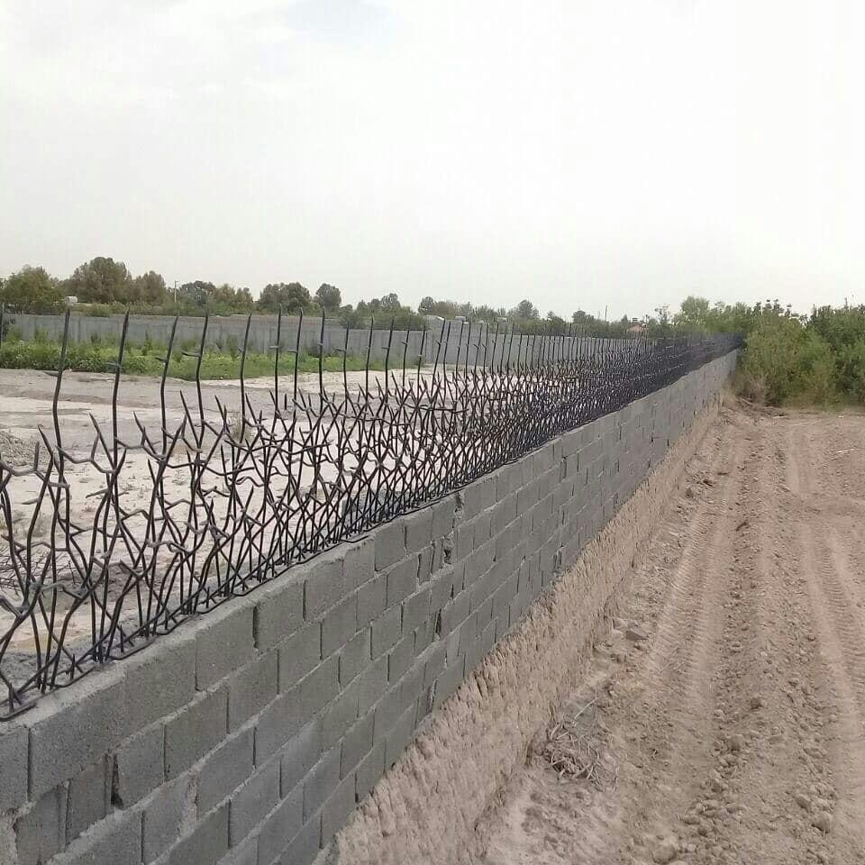مقاومت حفاظ شاخ گوزنی در برابر زنگ زدگی و پوسیدگی