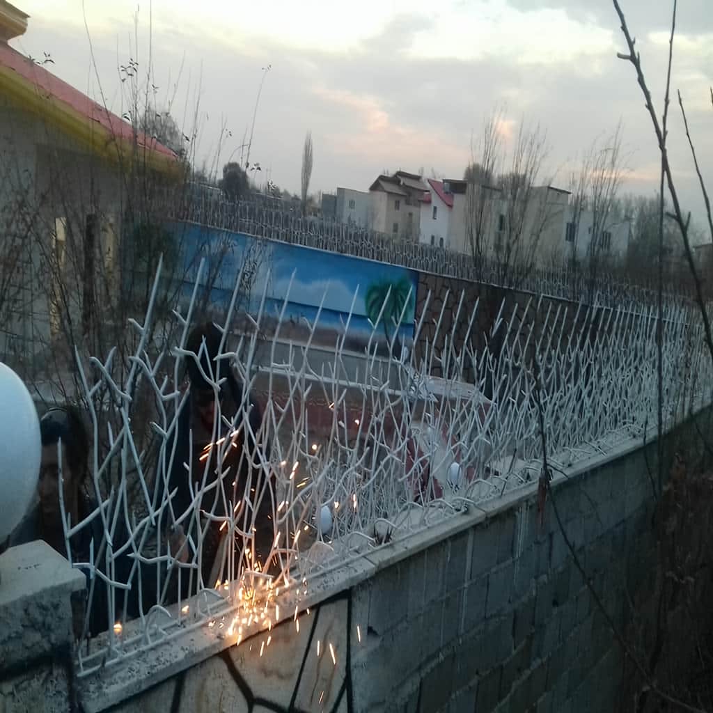 قیمت حفاظ شاخ گوزنی