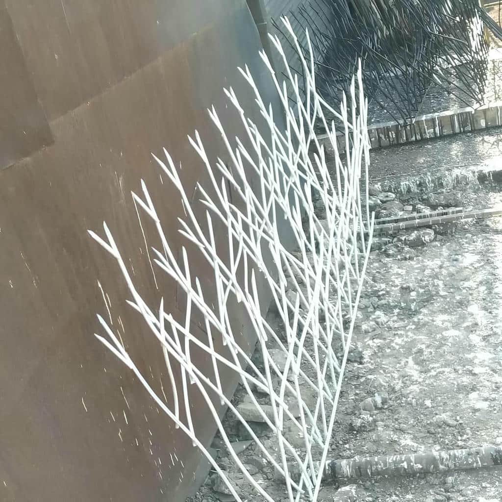 قیمت حفاظ شاخ گوزنی شاخه منظم در کمال شهر