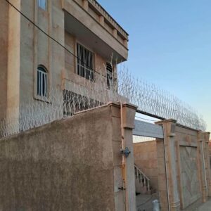 حفاظ شاخ گوزنی در نیشابور