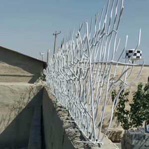 حفاظ شاخ گوزنی در رشت