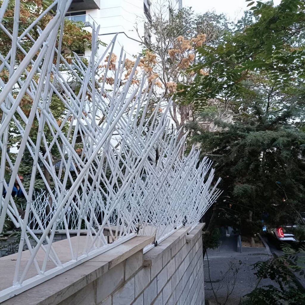 خرید حفاظ شاخ گوزنی شاخه متراکم در شیراز