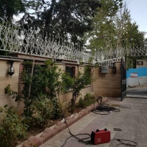حفاظ شاخ گوزنی در رفسنجان