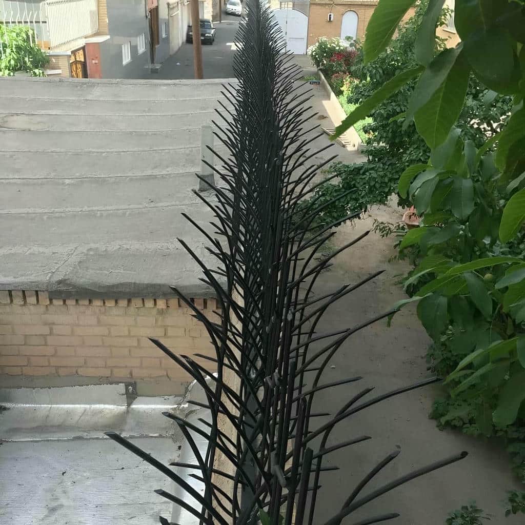خرید حفاظ شاخ گوزنی تلرانس ساخت در بندر دیلم