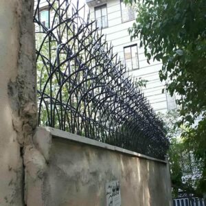 حفاظ شاخ گوزنی در محمودآباد