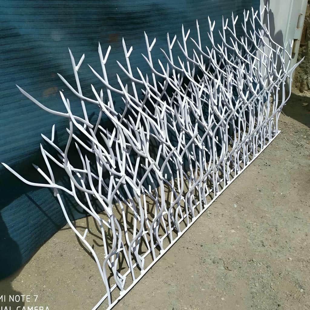 حفاظ شاخ گوزنی در آبسرد