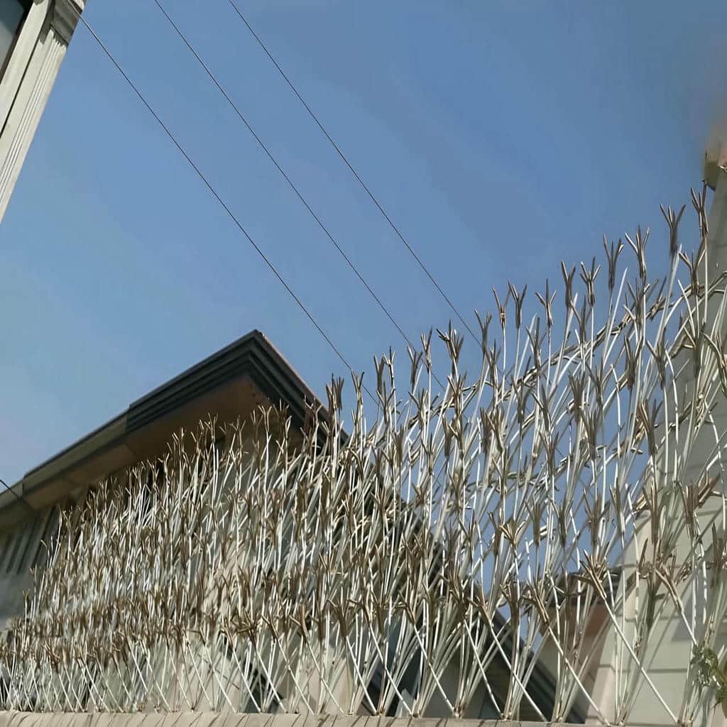 قیمت حفاظ شاخ گوزنی ویلایی در نظرآباد