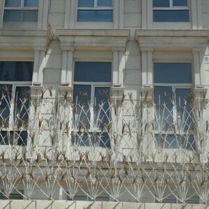 حفاظ شاخ گوزنی در سنندج