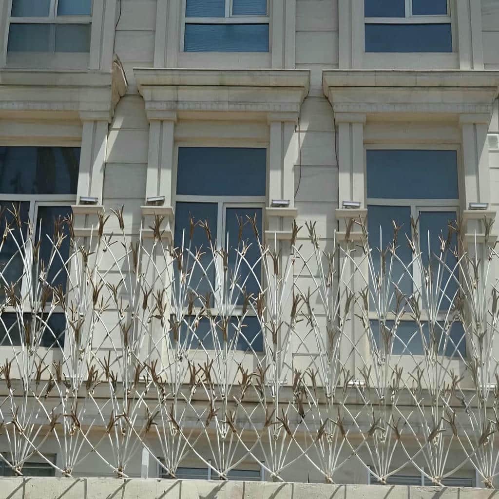 حفاظ شاخ گوزنی در سنندج