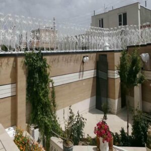 حفاظ شاخ گوزنی در بجنورد