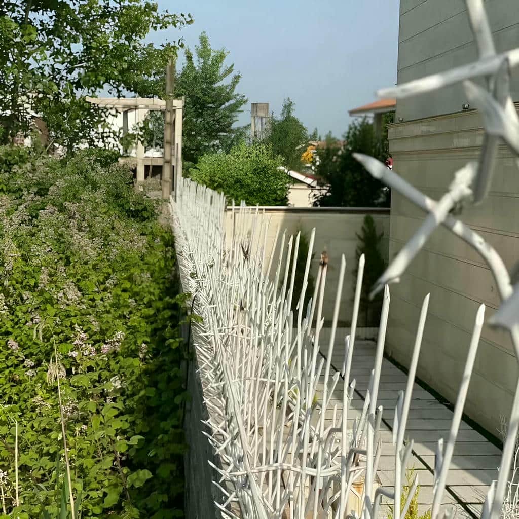 نصب حفاظ شاخ گوزنی رنگ مقاوم در ایرانشهر