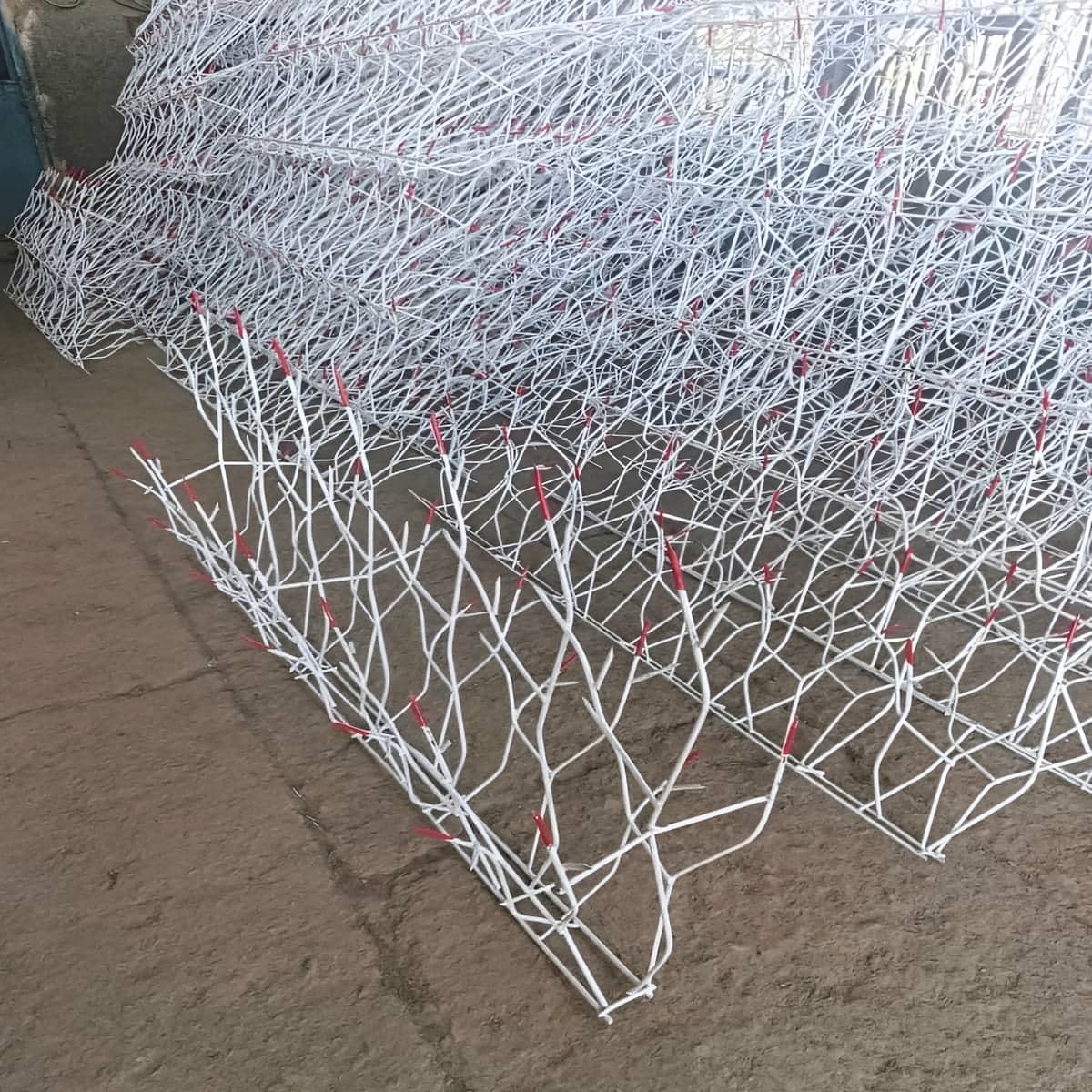 حفاظ شاخ گوزنی در اشتهارد