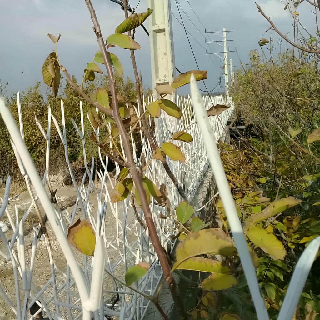 نصب حفاظ شاخ گوزنی رنگ همخوان در فردیس کرج