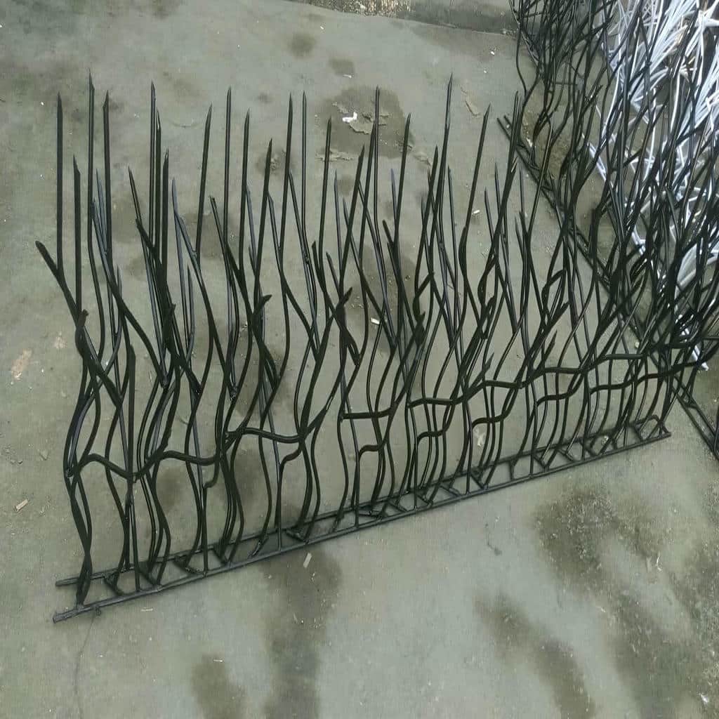حفاظ شاخ گوزنی در مهرشهر کرج