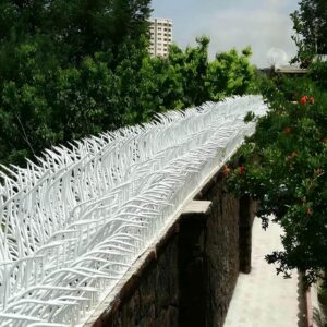 حفاظ شاخ گوزنی در اهواز