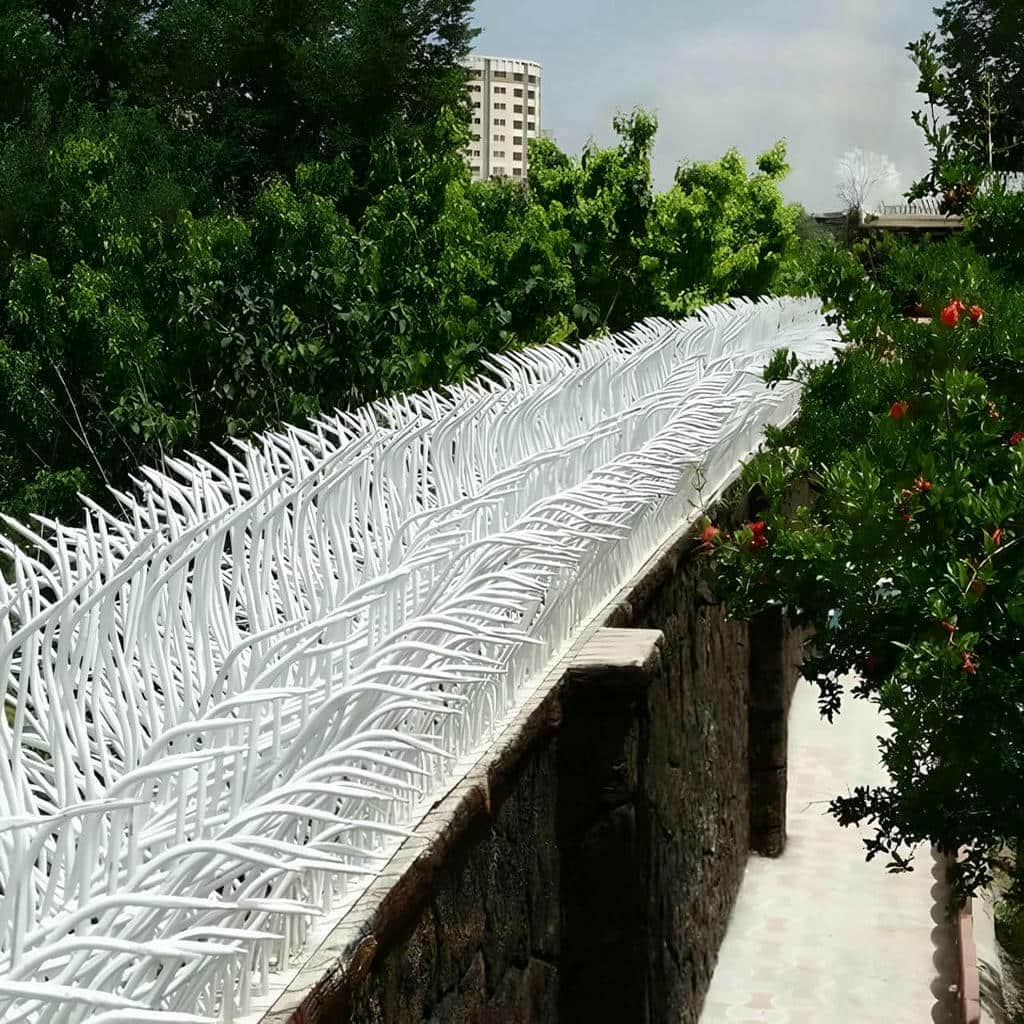 حفاظ شاخ گوزنی در اهواز