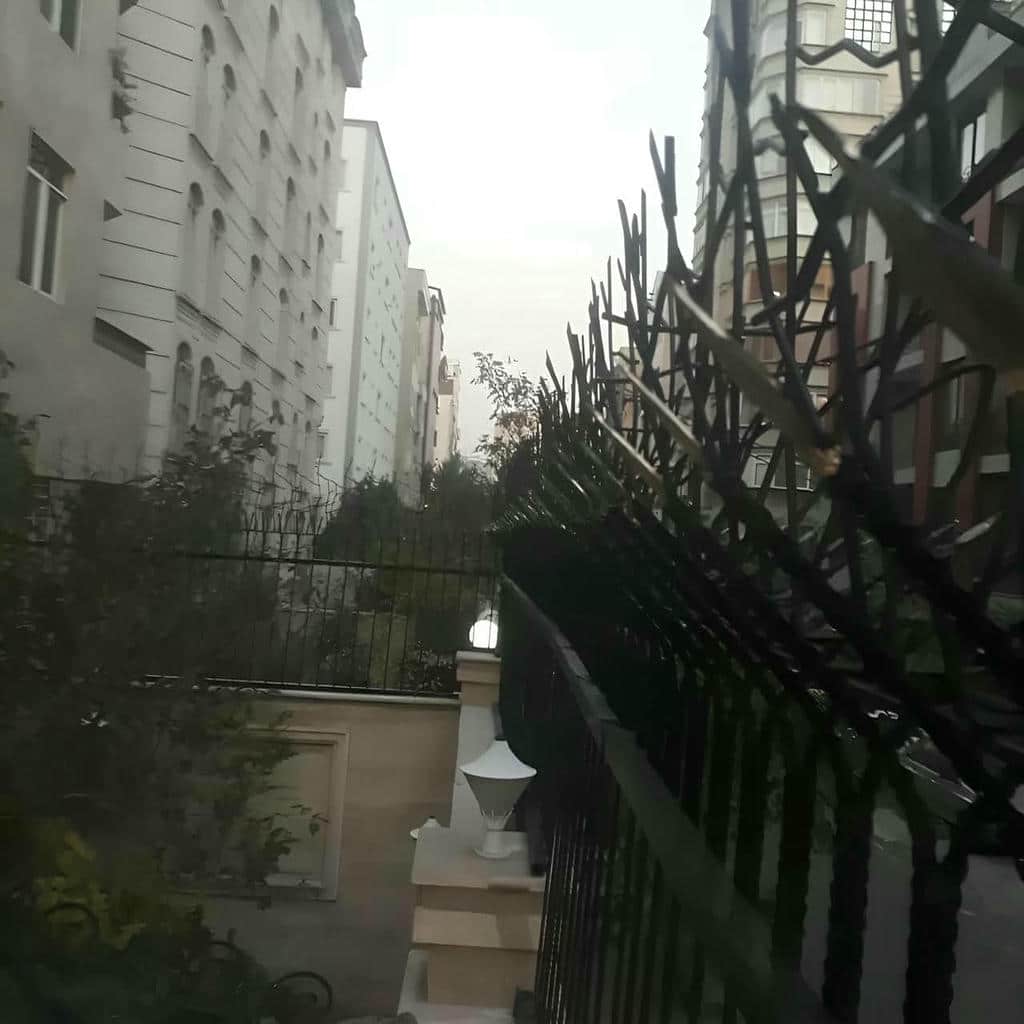 خرید حفاظ شاخ گوزنی شاخه منظم در سمنان