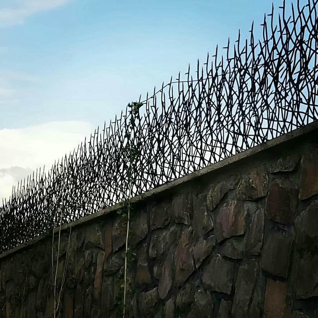 نصب حفاظ شاخ گوزنی فرم شاخهای در قزوین