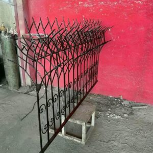حفاظ شاخ گوزنی در مشهد
