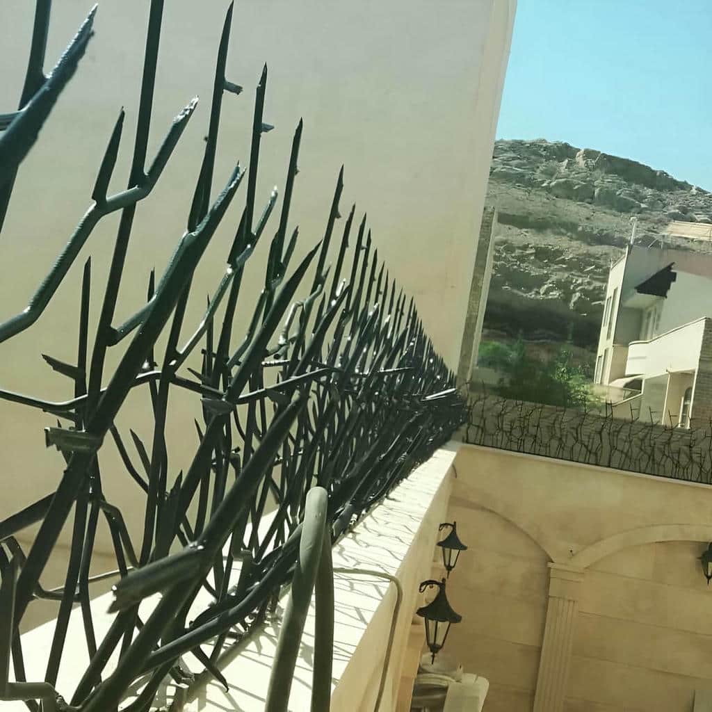 نصب حفاظ شاخ گوزنی رنگ مقاوم در بابل