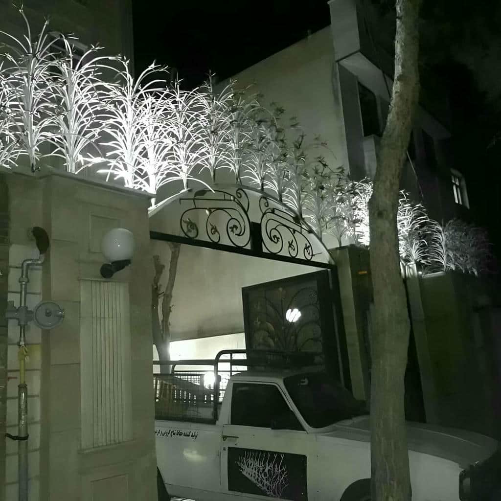 حفاظ شاخ گوزنی در بندر لنگه
