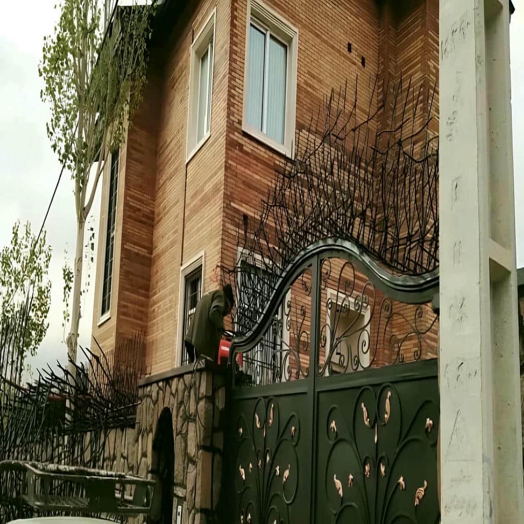 قیمت حفاظ شاخ گوزنی شاخه هماهنگ در بجنورد
