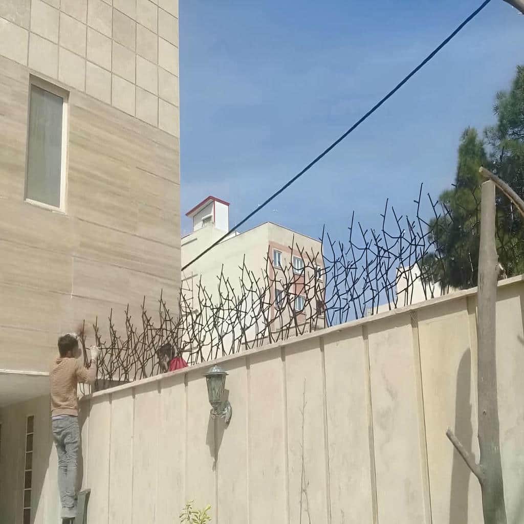 حفاظ شاخ گوزنی در قشم