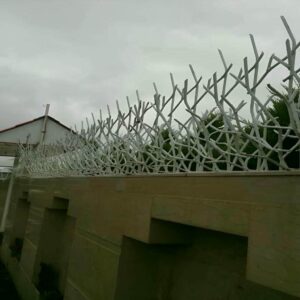 حفاظ شاخ گوزنی در باغ عباس‌آباد