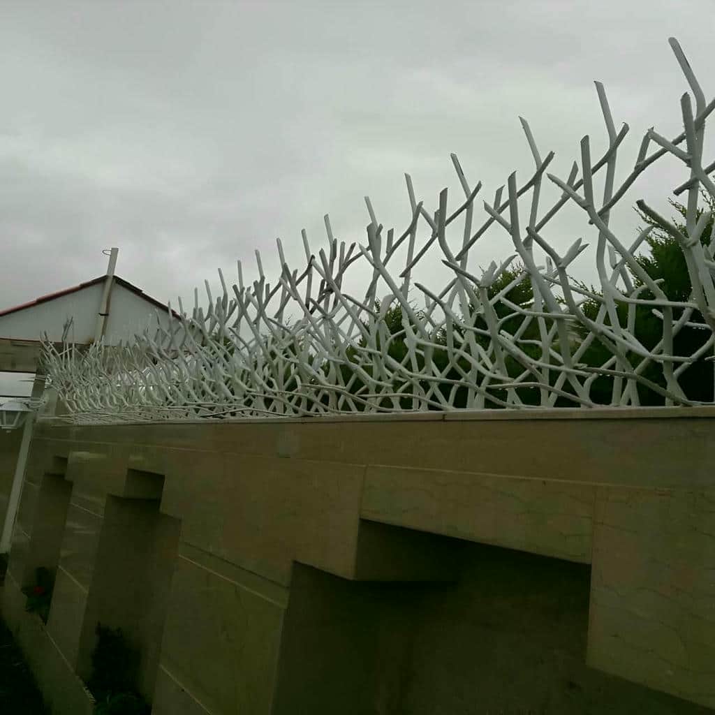 حفاظ شاخ گوزنی در باغ عباس‌آباد