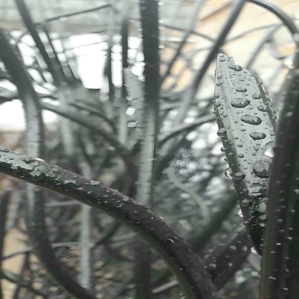 نصب حفاظ شاخ گوزنی رنگ مقاوم در نظرآباد