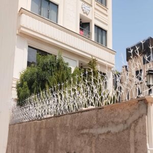حفاظ شاخ گوزنی در لواسان