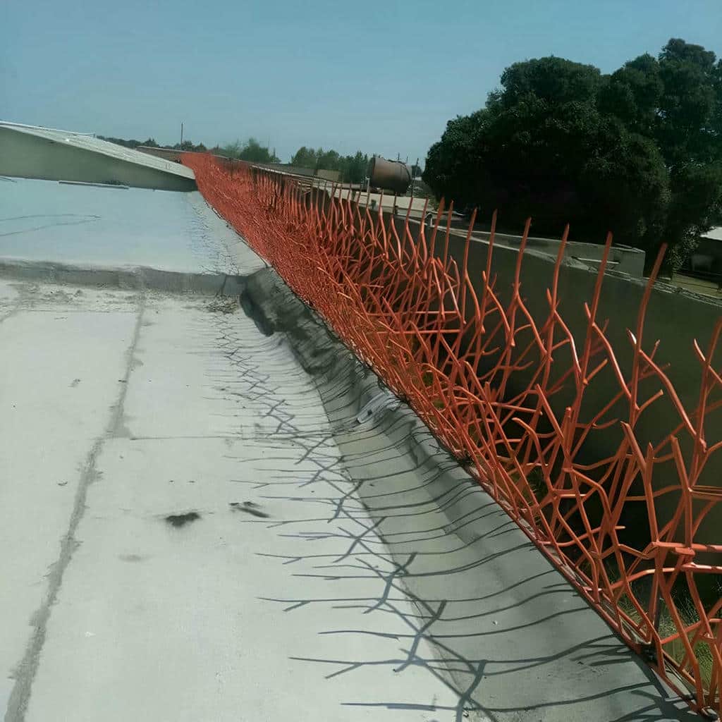 قیمت حفاظ شاخ گوزنی شاخه متراکم در قم