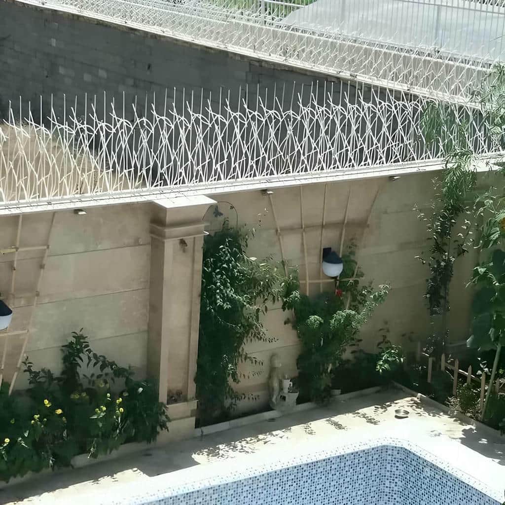 قیمت حفاظ شاخ گوزنی ویلایی در ارومیه