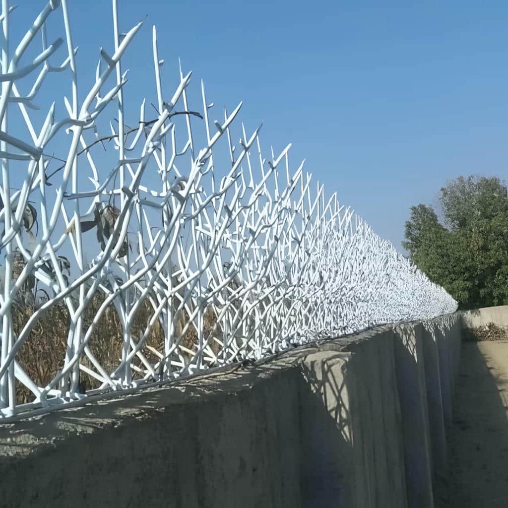 حفاظ شاخ گوزنی در گنبدکاووس