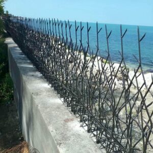 حفاظ شاخ گوزنی در اصفهان