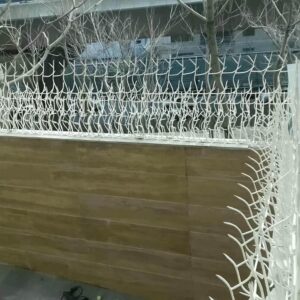 حفاظ شاخ گوزنی در استان خوزستان