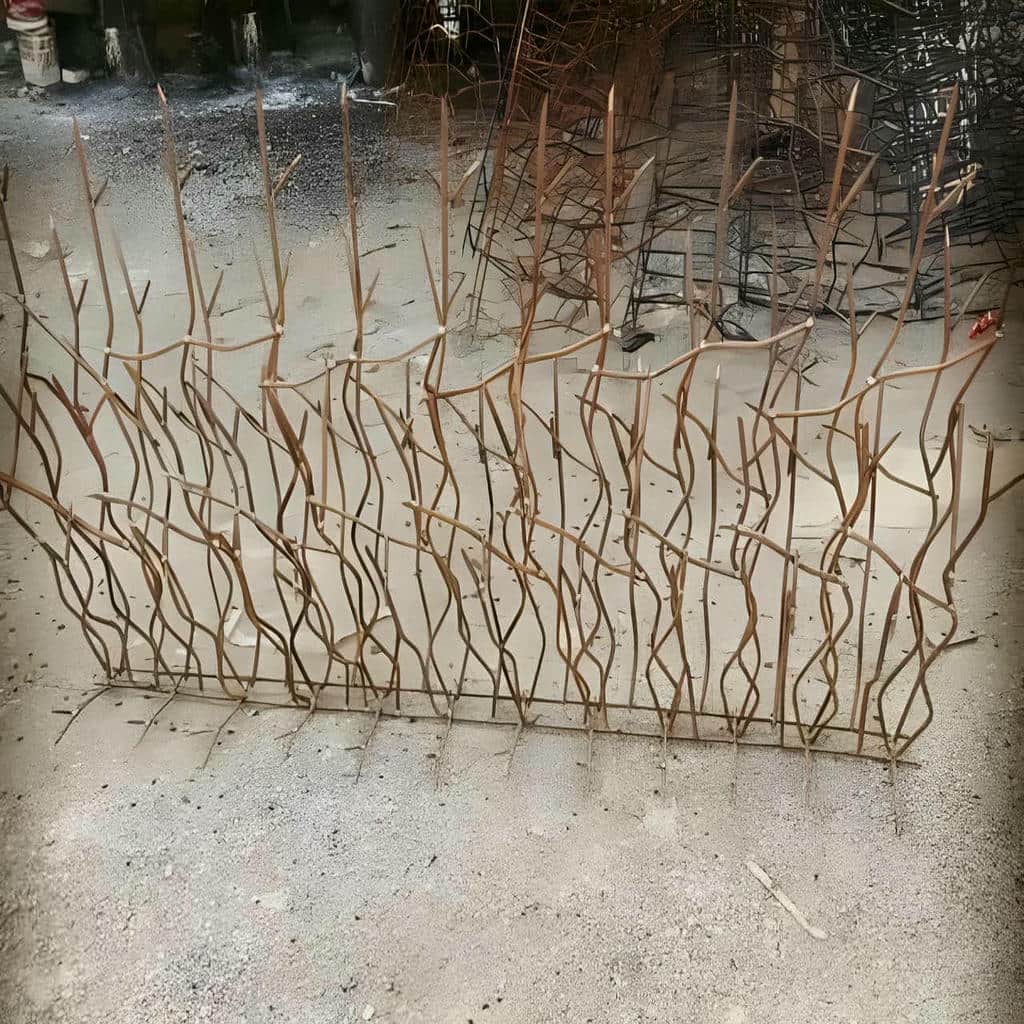 نصب حفاظ شاخ گوزنی شاخه منظم در آمل