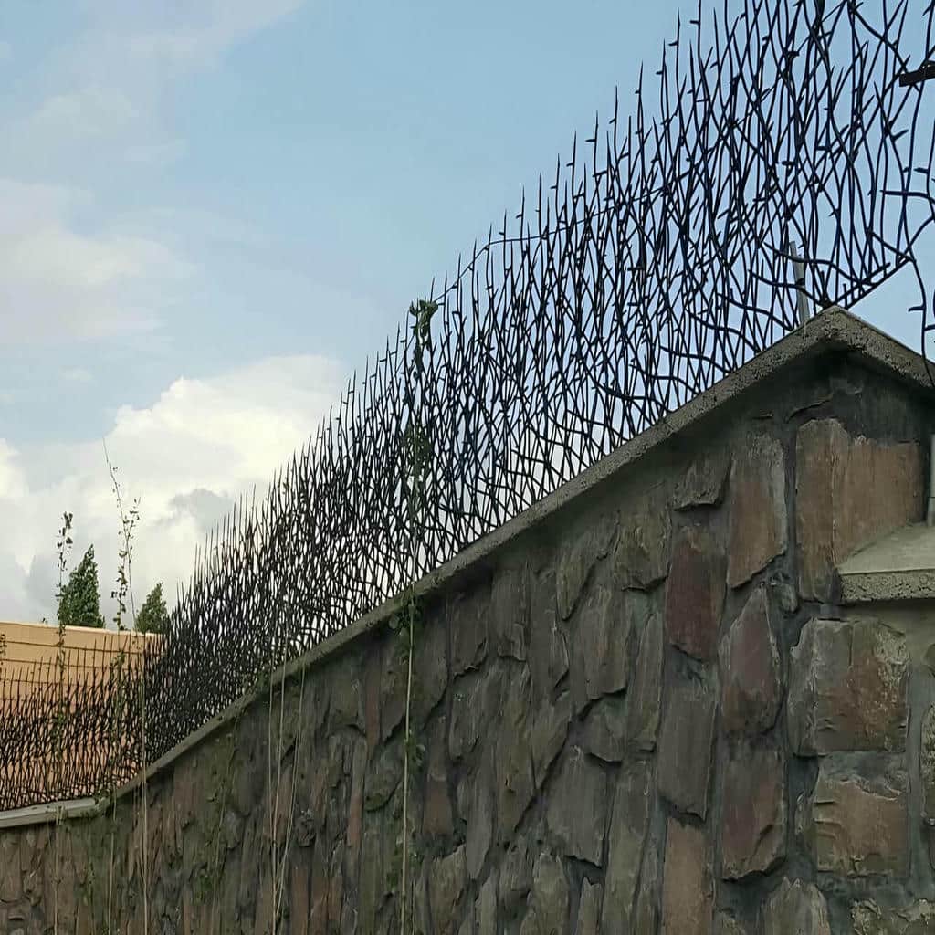 نصب حفاظ شاخ گوزنی شاخه منظم در ساوه