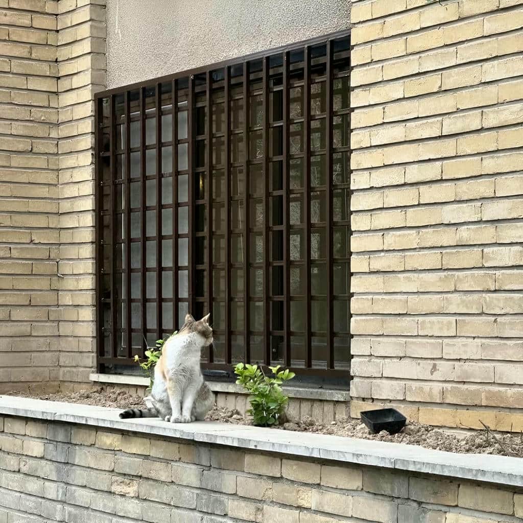 نصب حفاظ پنجره نرده فلزی مدرن سفارشی در زاهدان