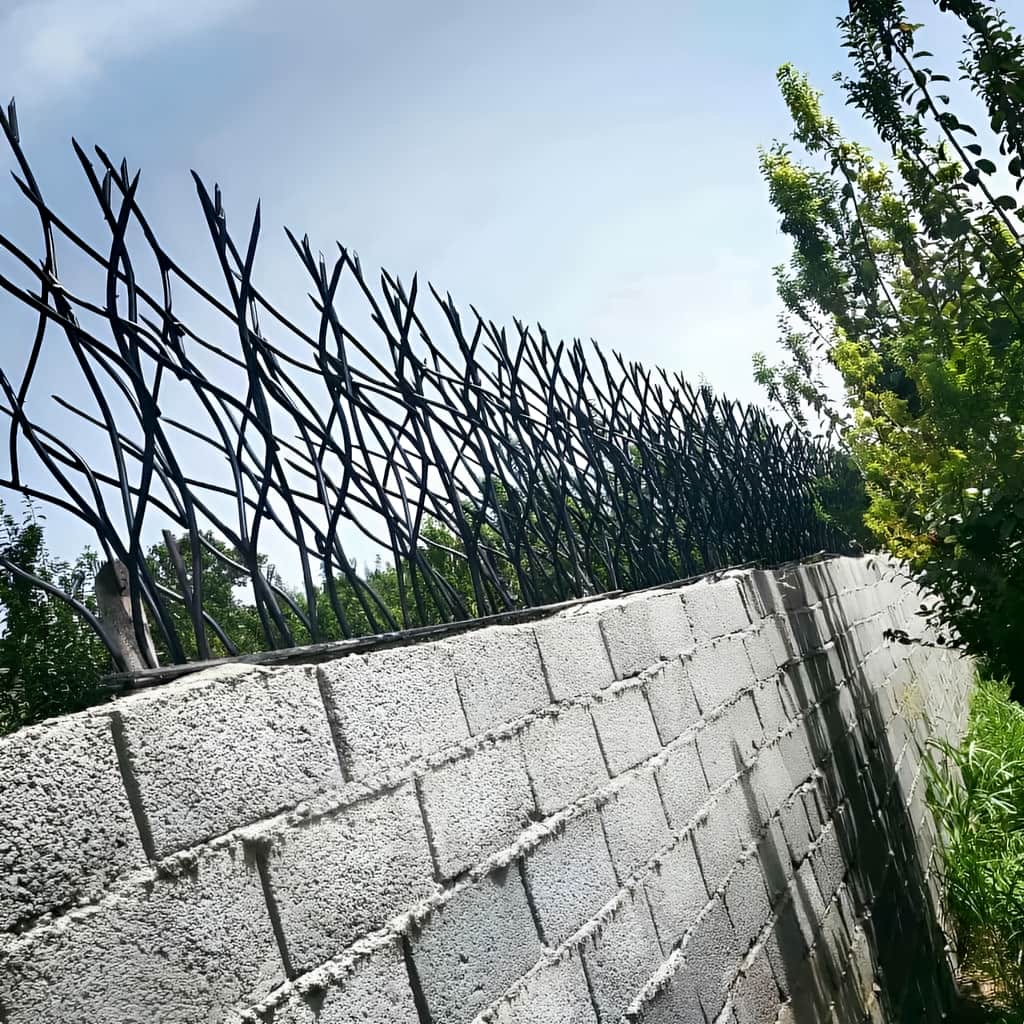 مزیت های حفاظ شاخ گوزنی برای ساختمان ویلا و باغ
