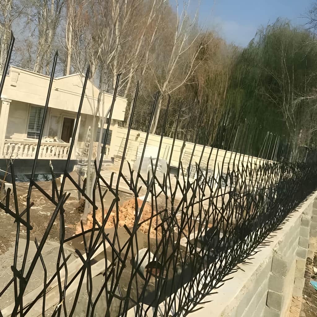 حفاظ شاخ گوزنی با ارتفاع مناسب دیوار