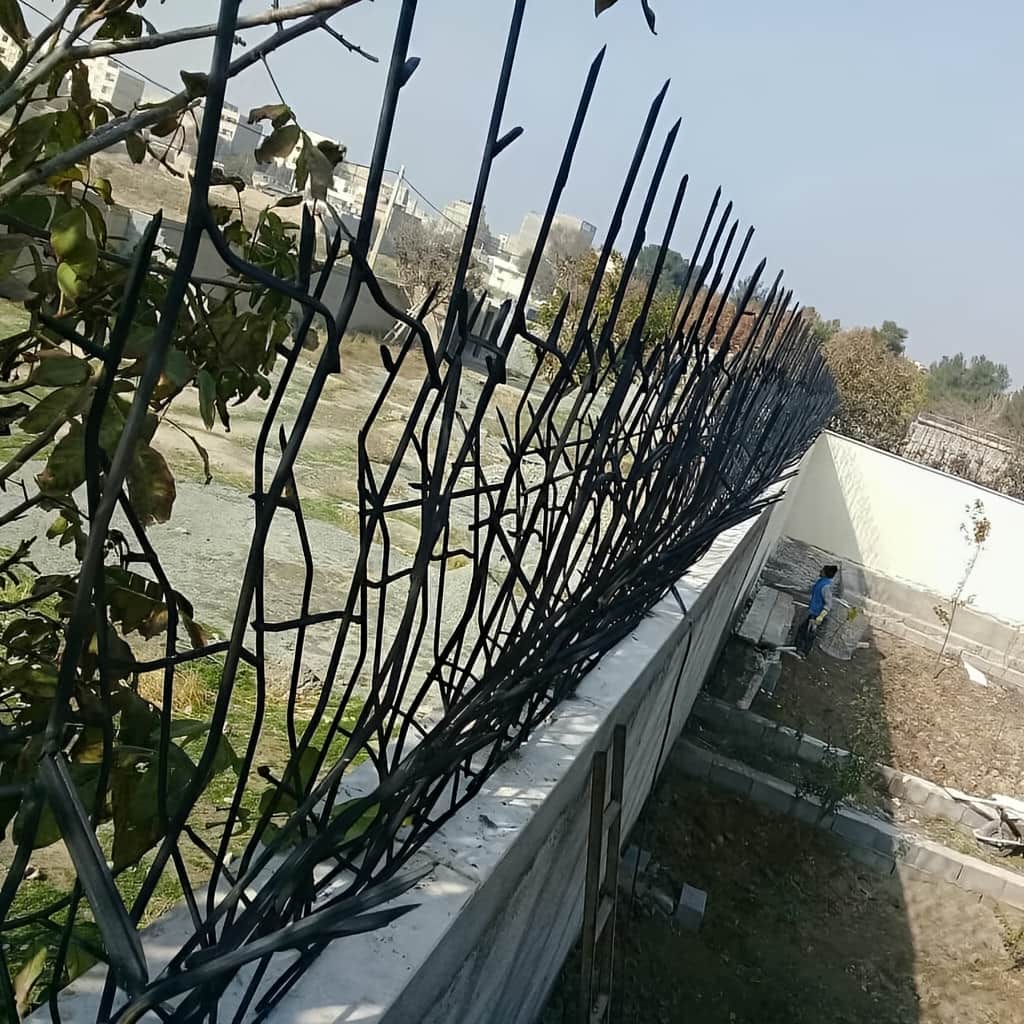 حفاظ شاخ گوزنی با تراکم مناسب شاخه ها