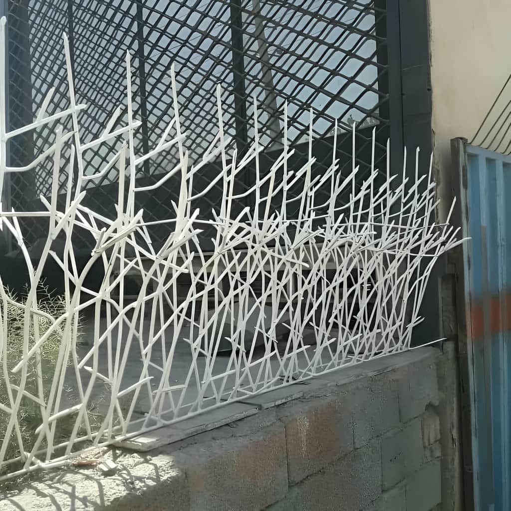 حفاظ شاخ گوزنی با رنگ آمیزی مقاوم