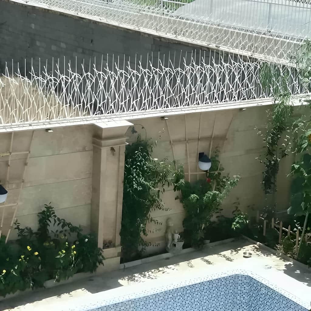 حفاظ شاخ گوزنی نصب شده روی لبه دیوار