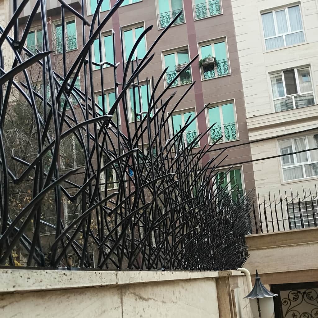 اجرای مدل نیزار حفاظ دیوار کوتاه کنار مسیر رفت‌وآمد