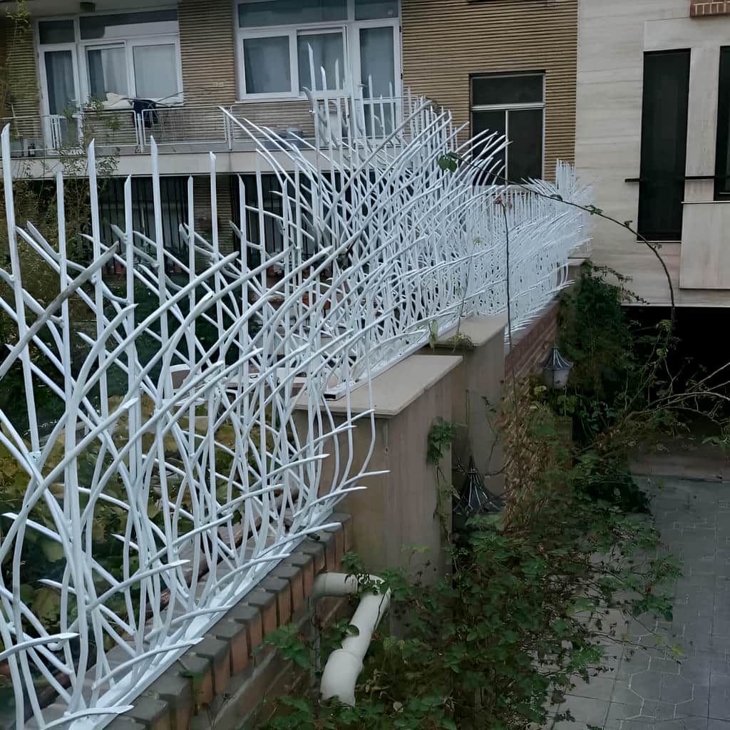سفارش مدل دوبل حفاظ نیزار برای ضلع پشتی باغ