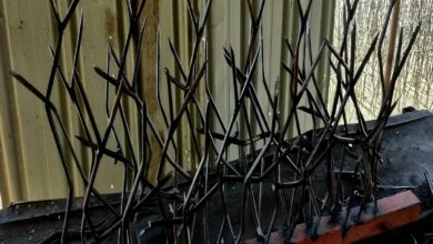 6 مدل حفاظ شاخ گوزنی پرتراکم امنیتی