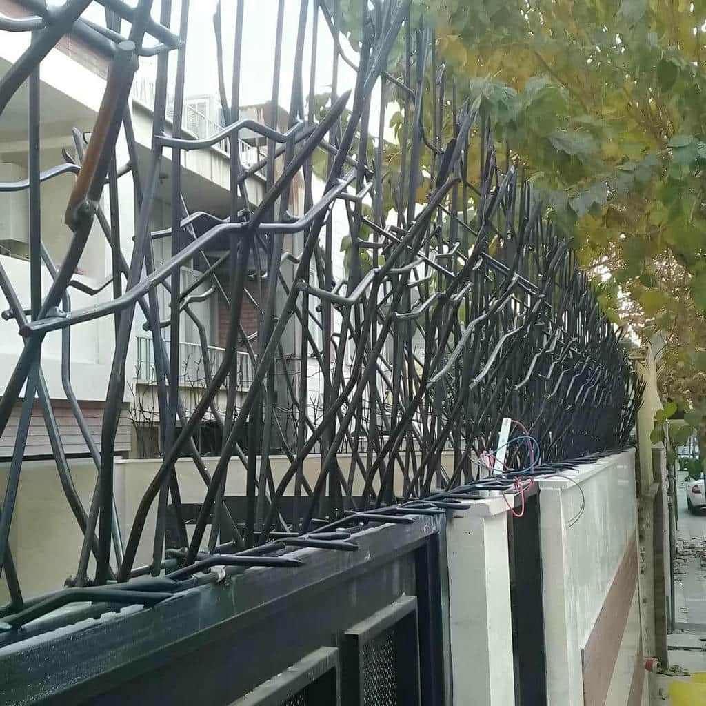 حفاظ شاخ گوزنی بوته‌ای برای اجرای ضلع پشتی باغ