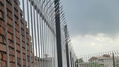 10 مدل حفاظ دیوار کلاسیک سرنیزه