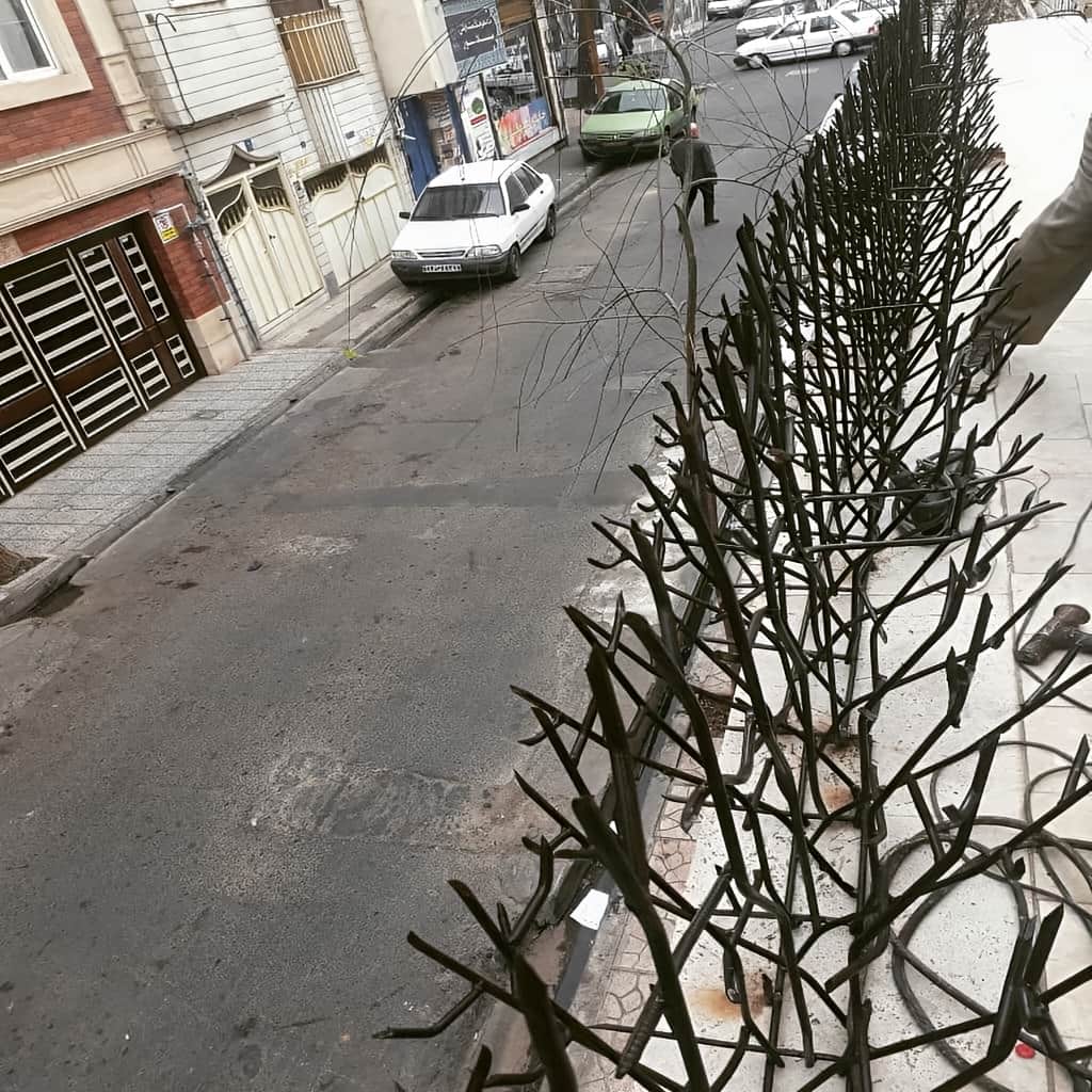 پوشش رنگ حفاظ بوته ای